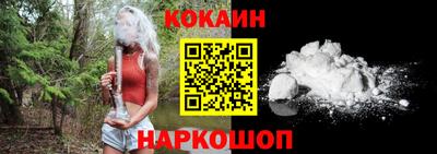 a pvp Камышлов