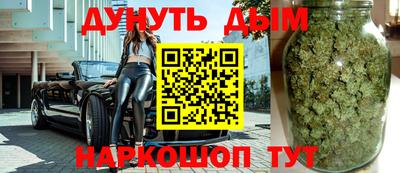 a pvp Камышлов