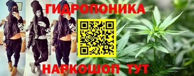 a pvp Камышлов