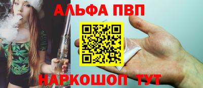 a pvp Камышлов