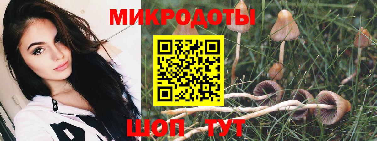 наркота  Вход с VPN  Советск  Галлюциногенные грибы мухоморы  Галлюциногенные грибы Psilocybine cubensis 